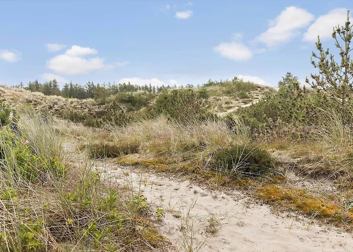 別荘 619-thisted-blabaervej-32 ティステズ